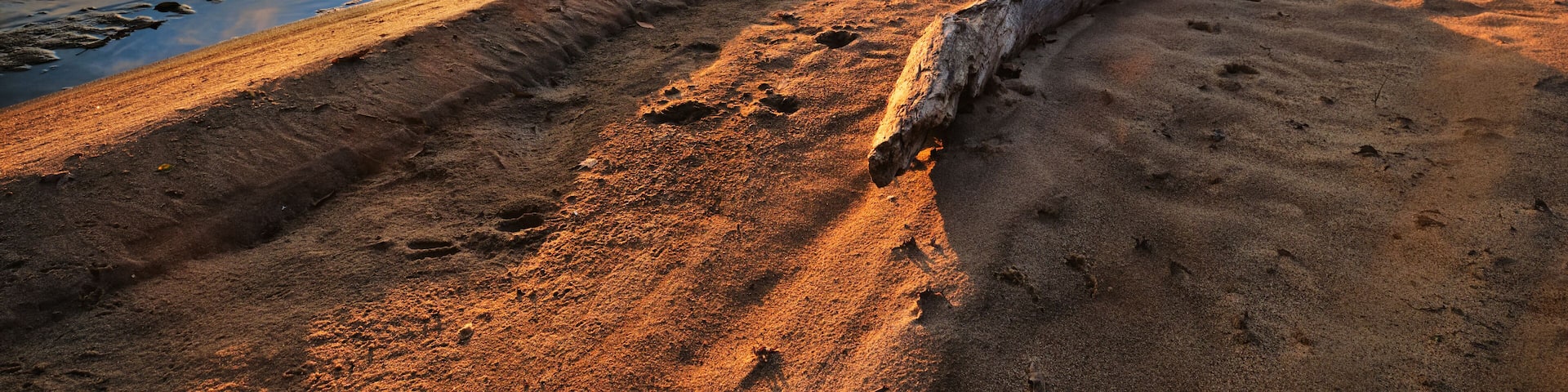 Sunset along the banks of the Wisconsin River.