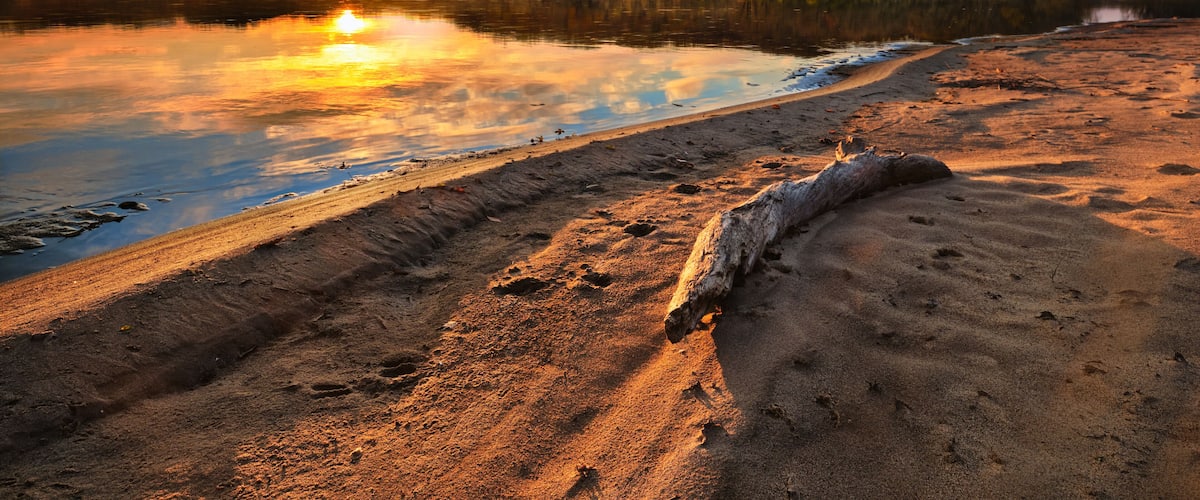 A sunset over a calm lake with a sandy shore and a fallen tree.