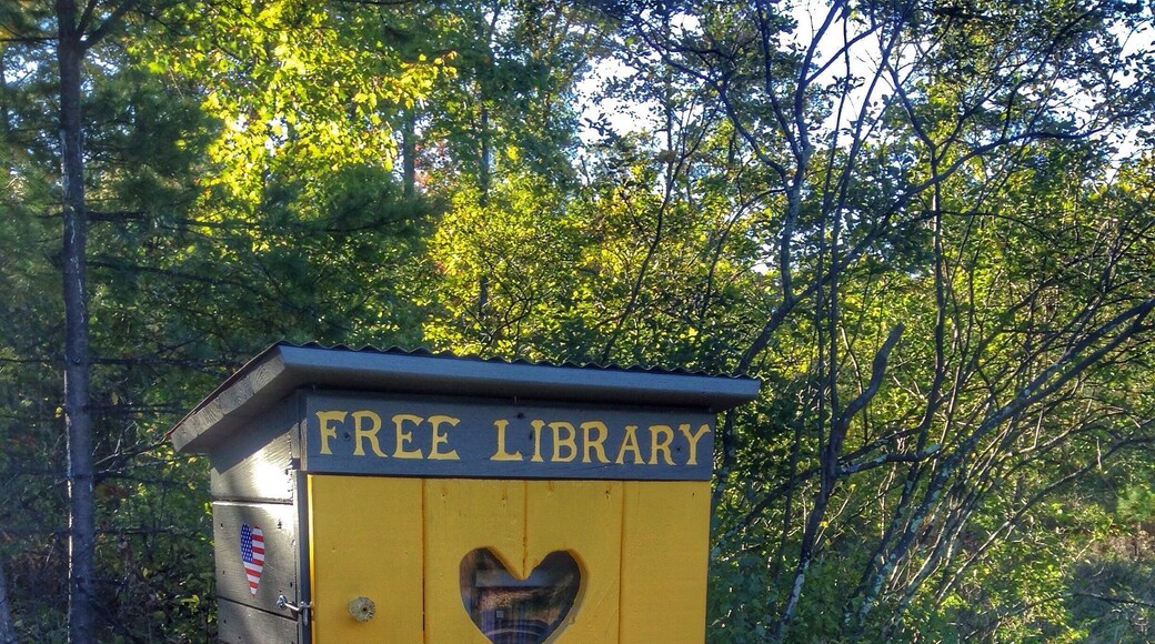 Right down the street from my favorite campground is this cute free little library. Off of Dixie Rd and 14