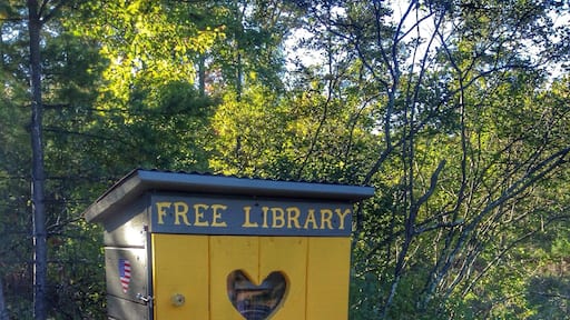 Right down the street from my favorite campground is this cute free little library. Off of Dixie Rd and 14