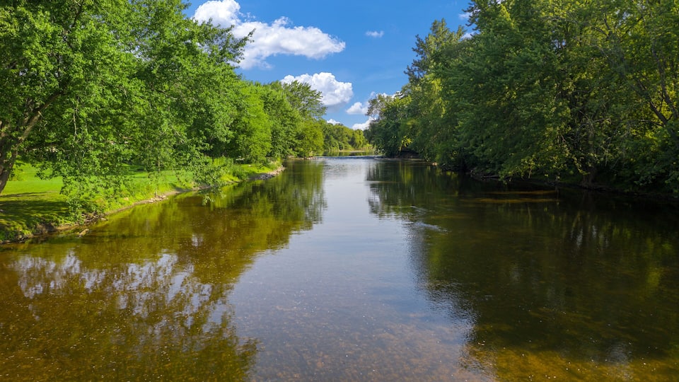 A calm river flanked by lush green trees under a clear blue sky.