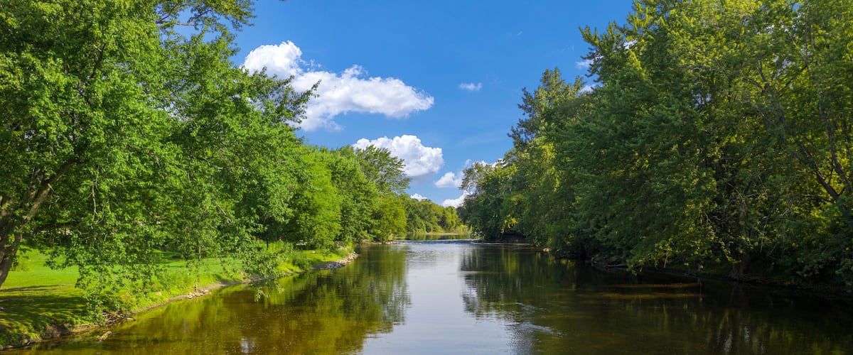 A calm river flanked by lush green trees under a clear blue sky.