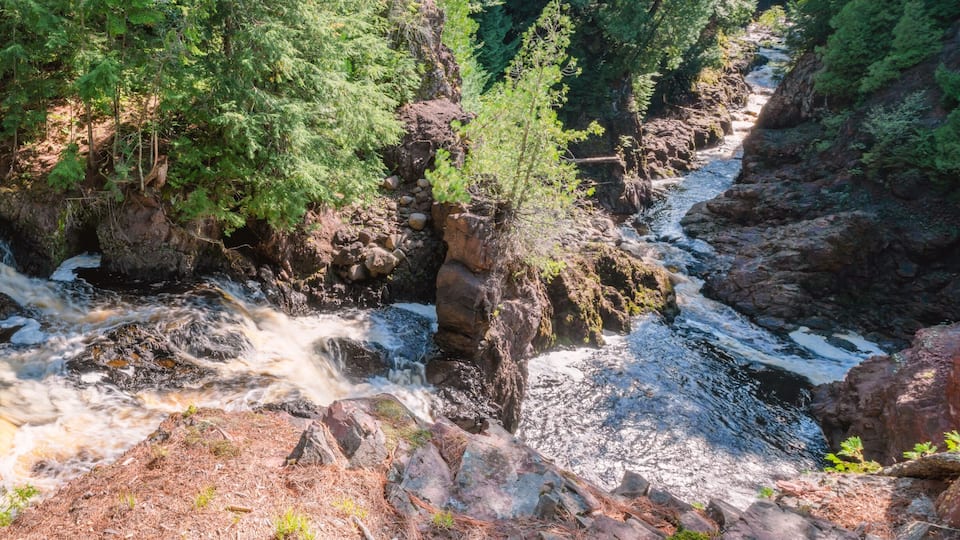 A river flowing through a rocky canyon surrounded by dense forest.