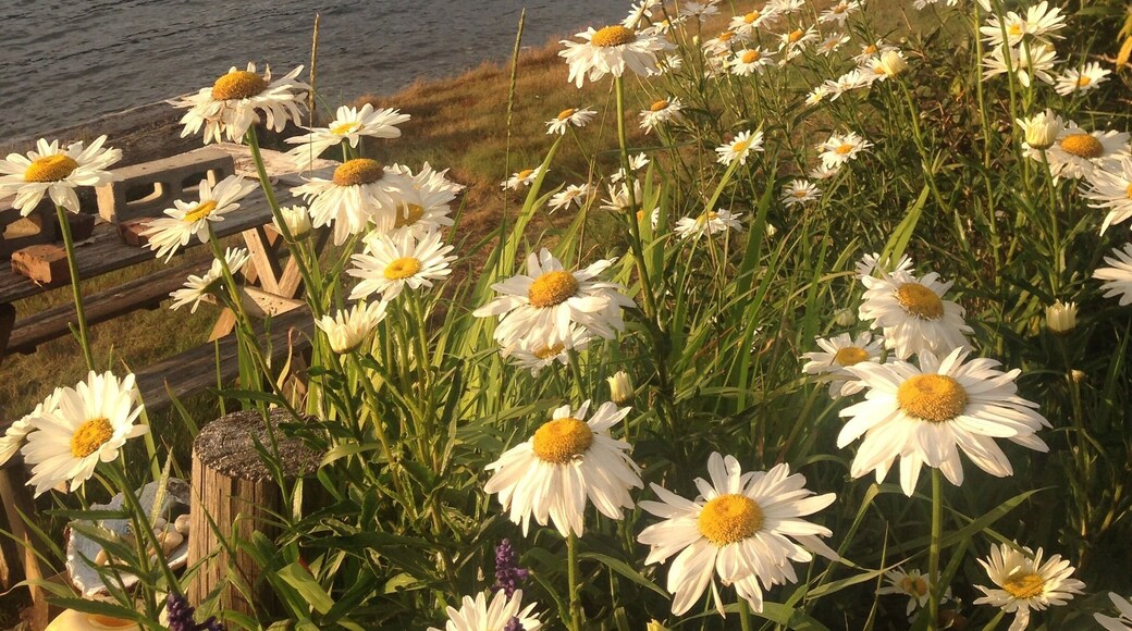 A great place to catch a salmon