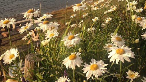 A great place to catch a salmon