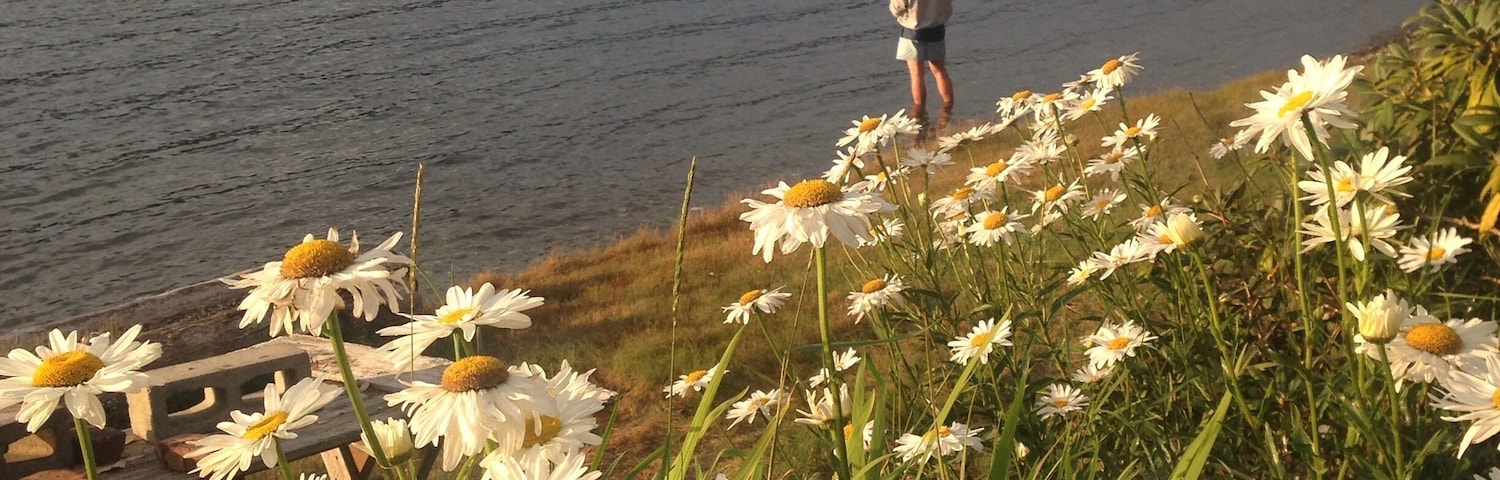 A great place to catch a salmon