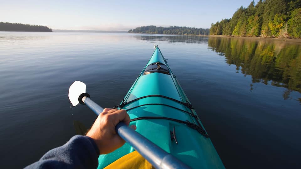 A kayak on calm water with a forested shoreline.