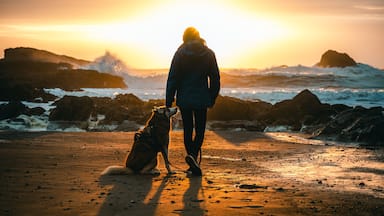 Woman Walking with Husky Dog at Sunset on Second Beach, Olympic National Park