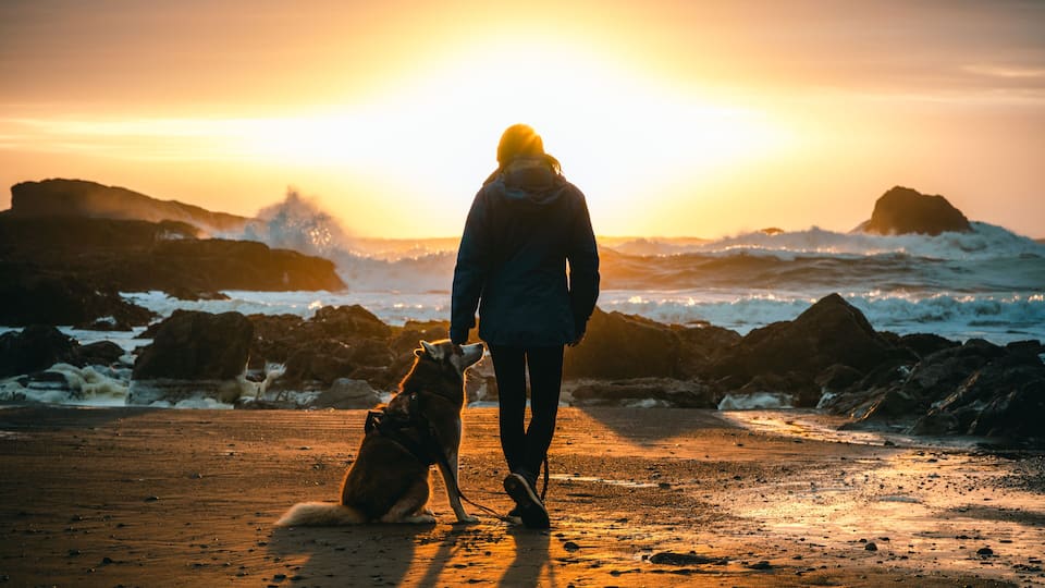 A person walking a dog on a rocky beach at sunset.