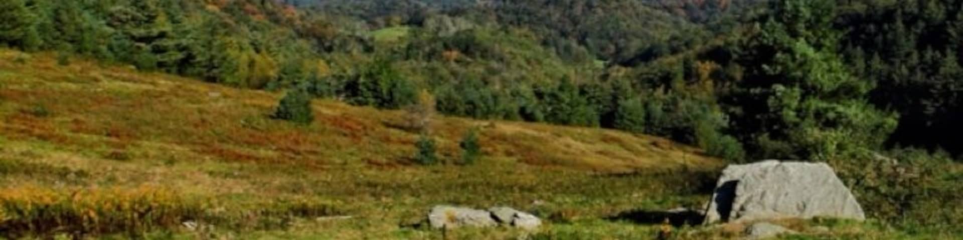 The Blue Ridge Parkway connects Great Smoky Mountain National Park to Shenandoah National Park. It's 400+ miles offers one of the best ways to view the smokies and will give you stunning landscapes such as this one. The drive changes dramatically from one area to the next, so you can see all different kinds of mountain range.