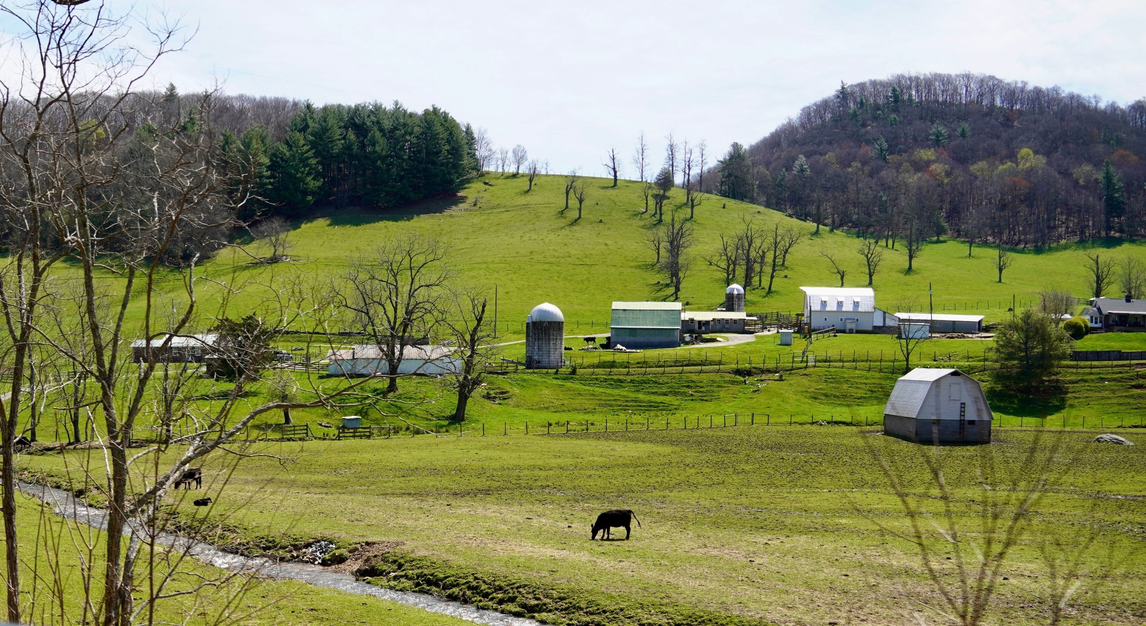 the Rolling farmlands near Galax Virginia on the Blue Ridge Parkway