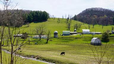 the Rolling farmlands near Galax Virginia on the Blue Ridge Parkway