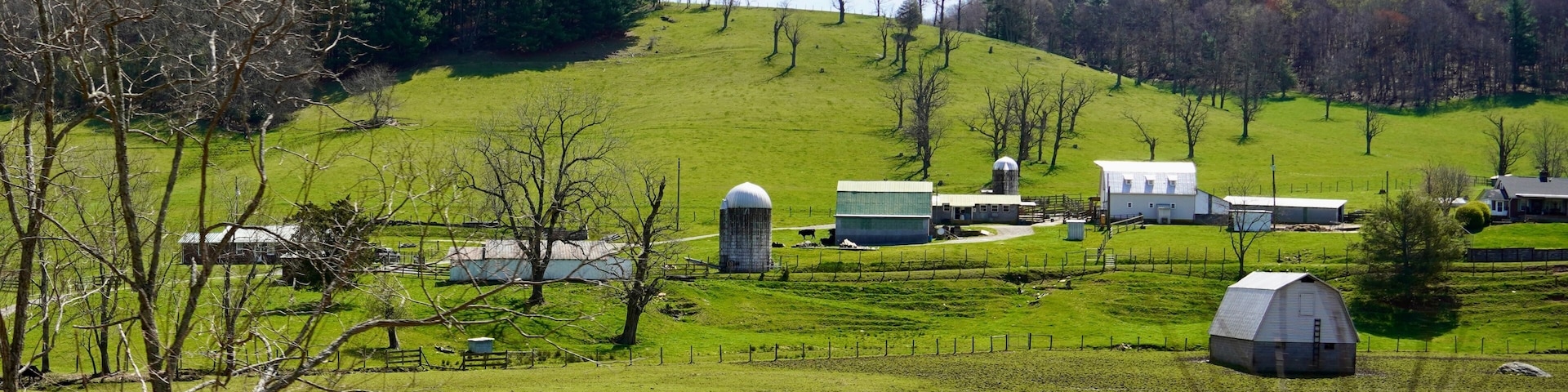 the Rolling farmlands near Galax Virginia on the Blue Ridge Parkway