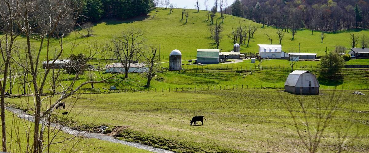 the Rolling farmlands near Galax Virginia on the Blue Ridge Parkway