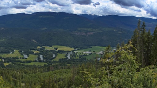View of landscape at Sicamous from Sicamous Lookout in British Columbia,Canada,North America