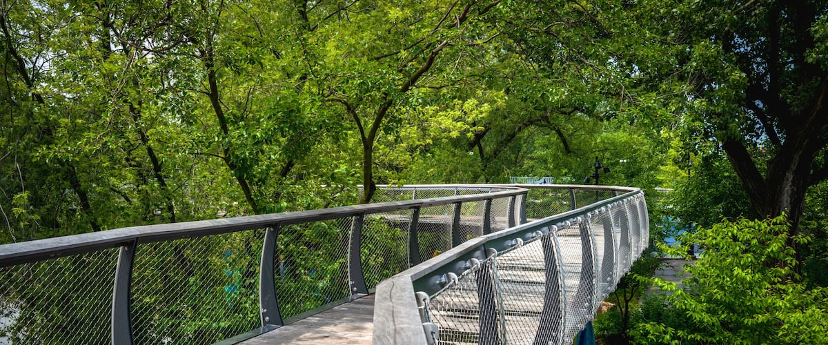Parkview Tree Canopy Trail curving wood bridge riverfront walkway in Promenade Park over the St. Marys River, Fort Wayne, Allen County, Indiana