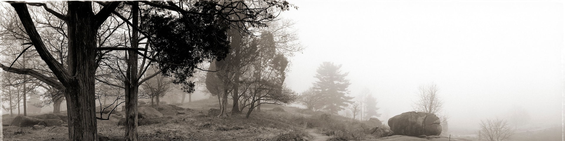 A foggy forest with a winding path, large rocks, and trees.