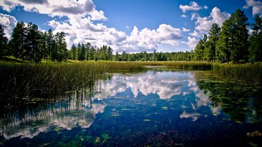 Protected Federal Reserver, near Pinetop AZ.