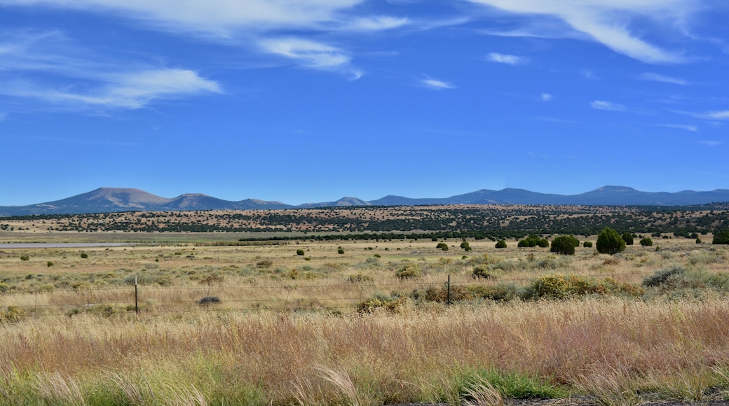 White Mountains Arizona Show Low Pinetop