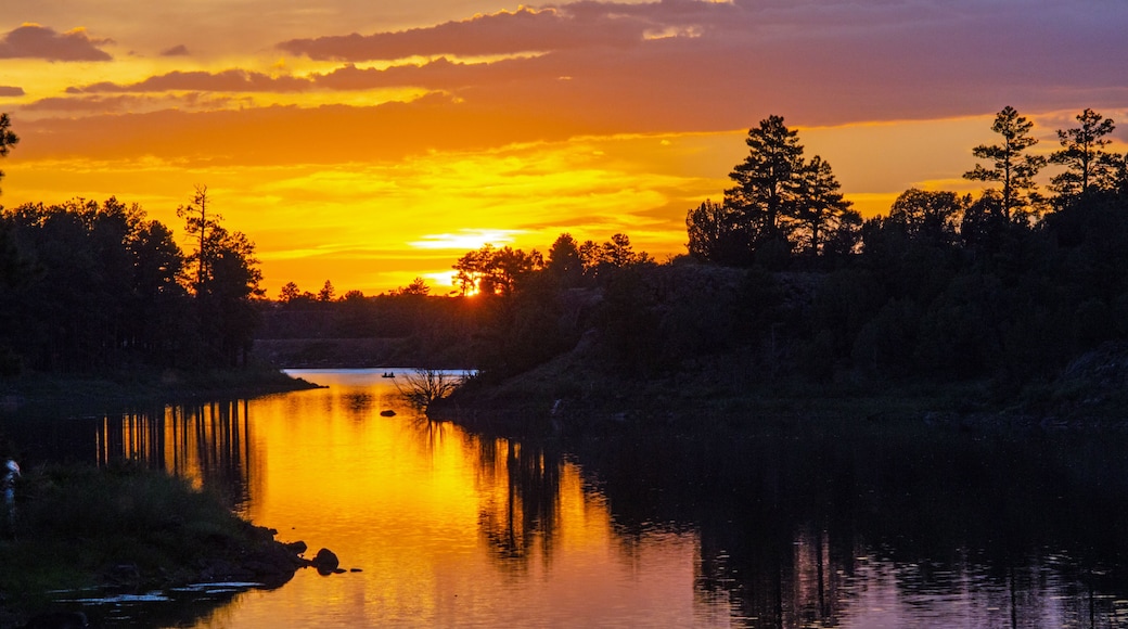 Pinetop