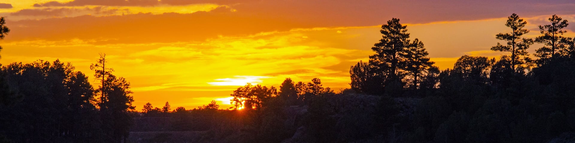 Sunset over a forest lake