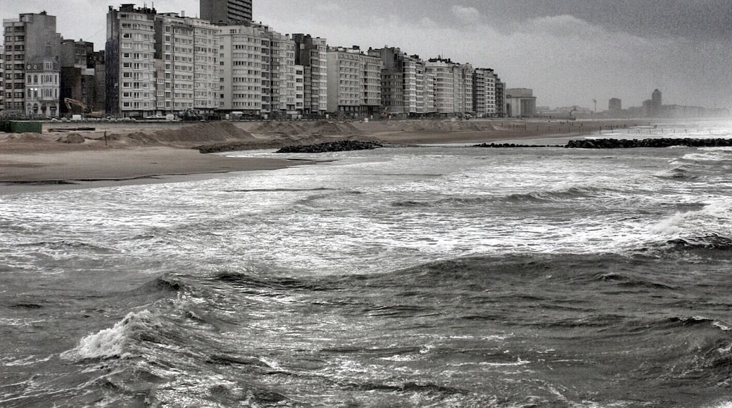 Storm
#UrbanJungle Photos Contest