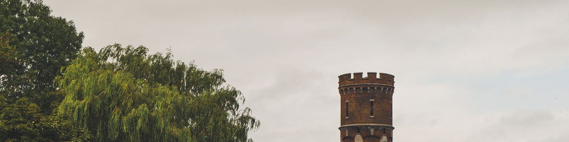In the park you can rent bikes for free.