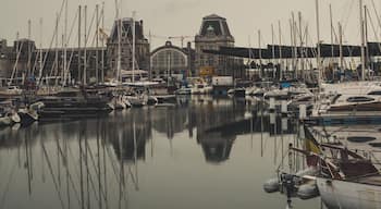 Yacht harbor with the central railway station in the background.
