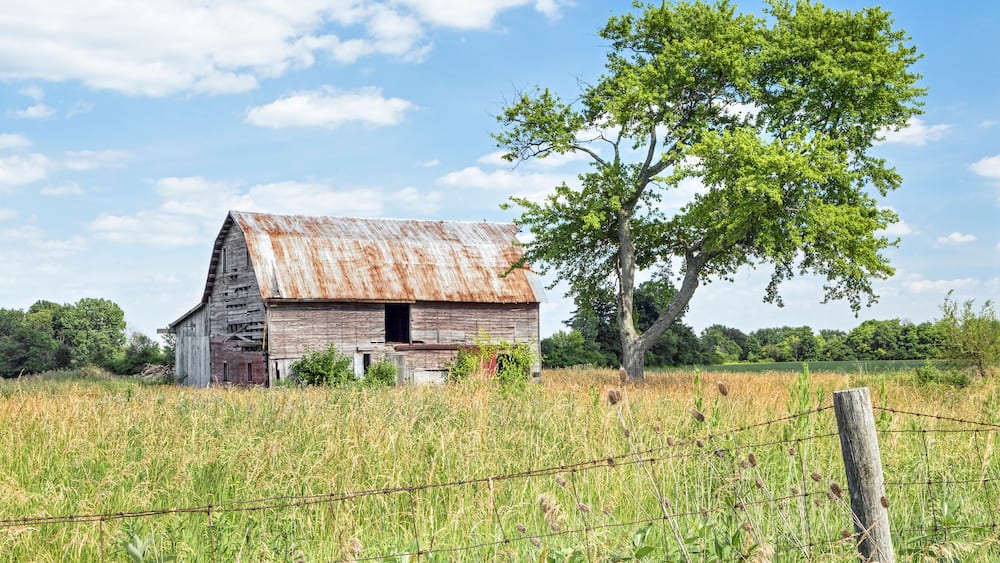 Old Friends - A rustic old barn stands by a weathered old tree in rural Madison County, Ohio.