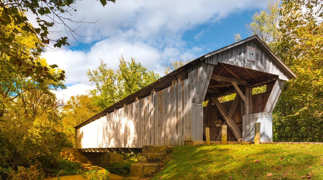 可奈尔-温彻斯特
