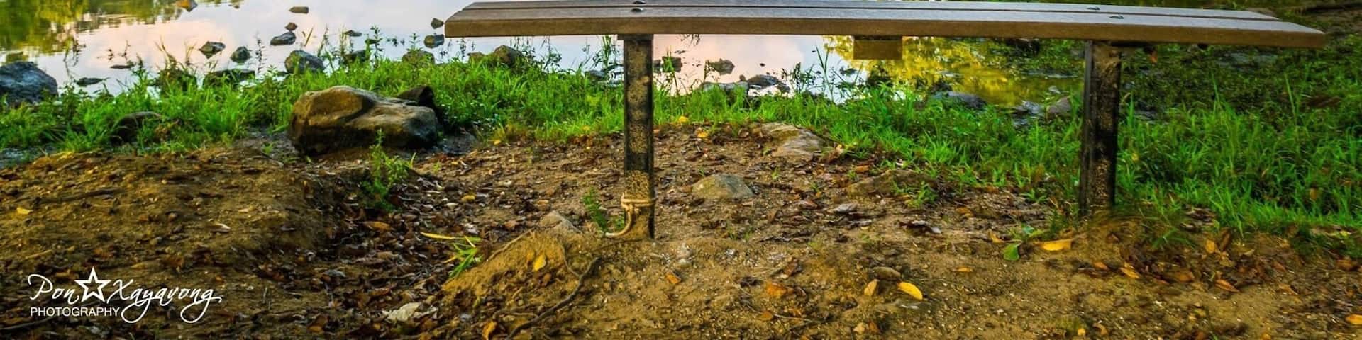 Nice Park for a picnic