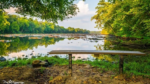 Nice Park for a picnic