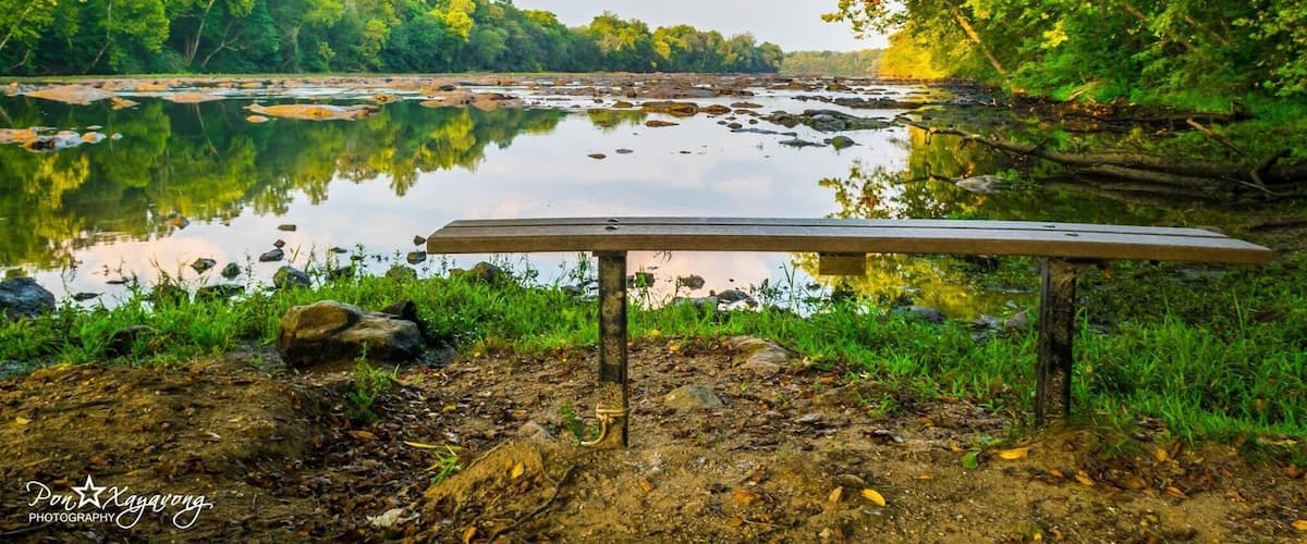 A river with a wooden bench in the foreground, surrounded by lush greenery and trees.