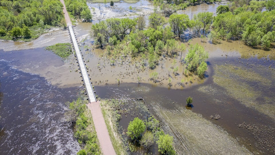 A flooded area with a bridge and dense vegetation.