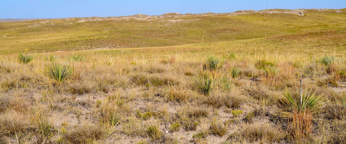 Agate Fossil Beds National Monument