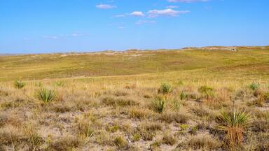 Agate Fossil Beds National Monument
