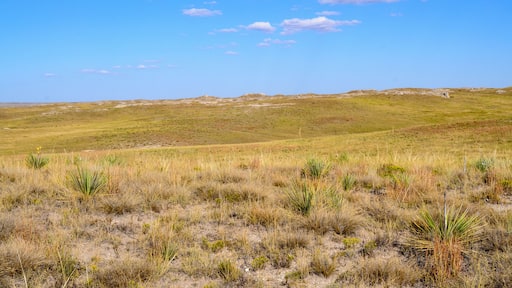 Agate Fossil Beds National Monument
