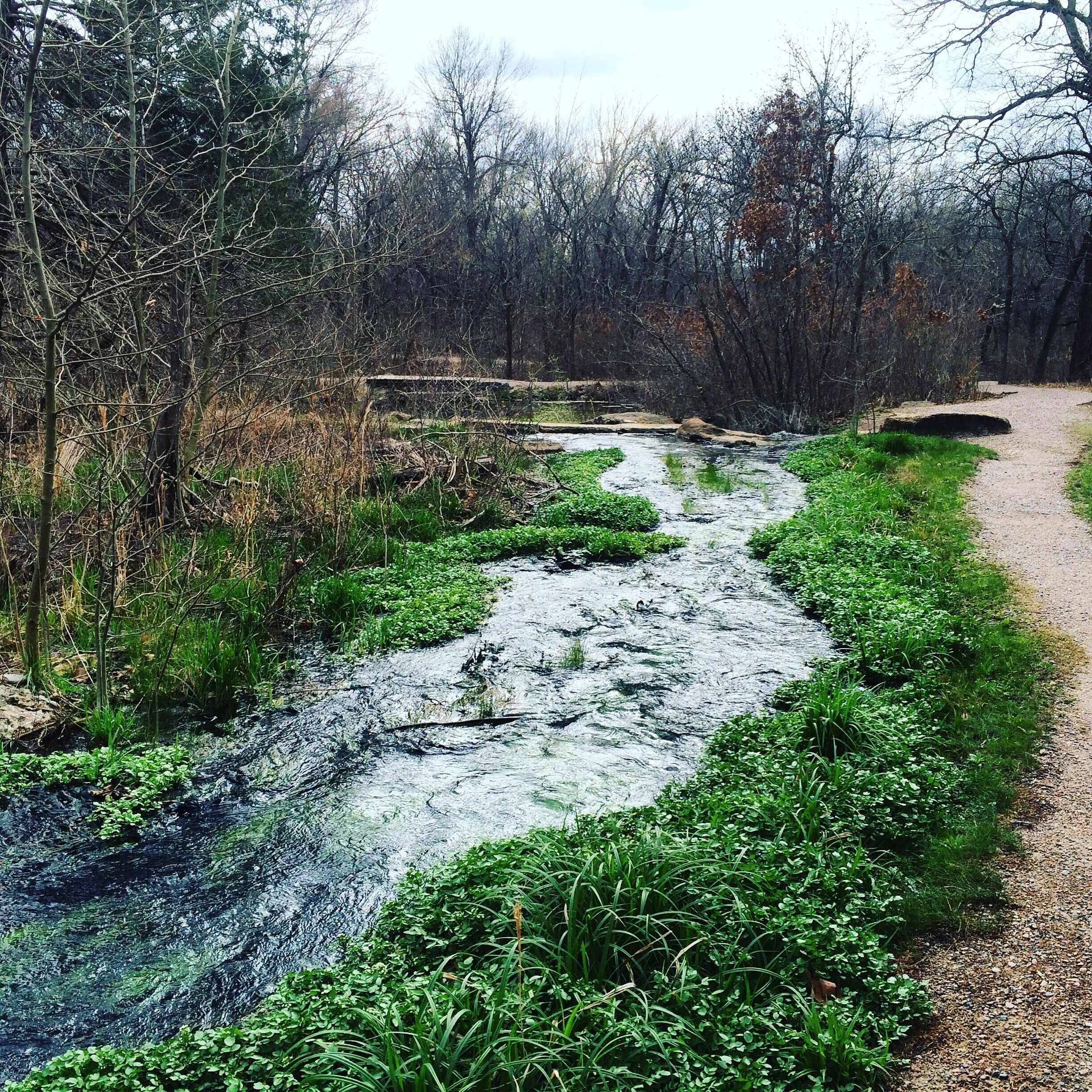 Antelope Springs, Chickasaw National Recreation Area
