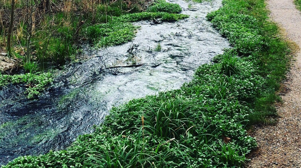 Antelope Springs, Chickasaw National Recreation Area