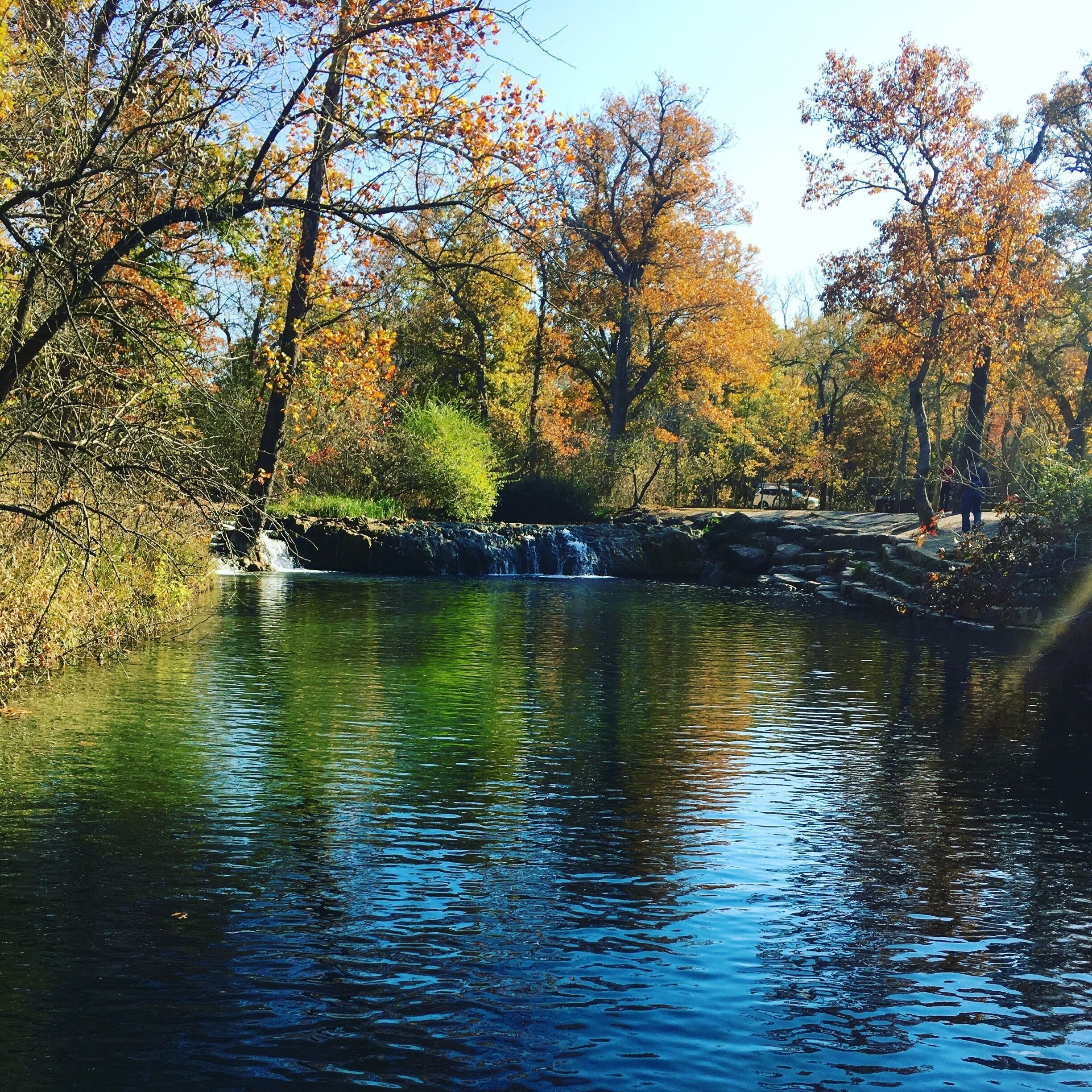 Travertine Nature Center is a mere 21/2 hour drive from Dallas but it's beauty it's unmatched and to be seen. Beautiful trails, scenic paths, brooks, streams, lakes even falls...it has everything