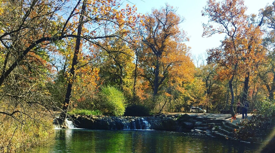 Travertine Nature Center is a mere 21/2 hour drive from Dallas but it's beauty it's unmatched and to be seen. Beautiful trails, scenic paths, brooks, streams, lakes even falls...it has everything