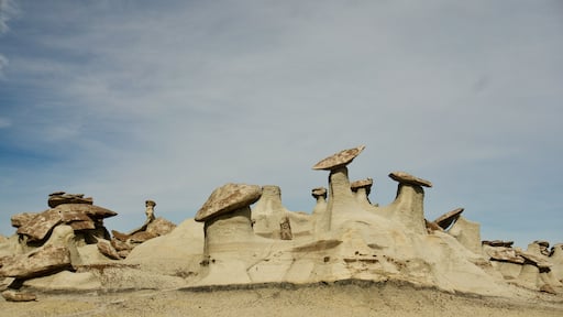 Wandering around in the Bisti De Na Zin Wilderness turns up a lot of interesting formations, there are acres and acres of formations like this