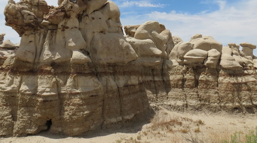 About an hour outside of Farmington, NM, the Bisti Wilderness is truly a unique experience. It's like the Badlands came to the SW of the US, just getting all the more bizarre in the move. You will literally feel like you are on a different planet as you hike around the park. #hiking