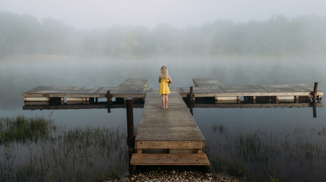 Girl in yellow dress stands on dock facing foggy lake in morning
