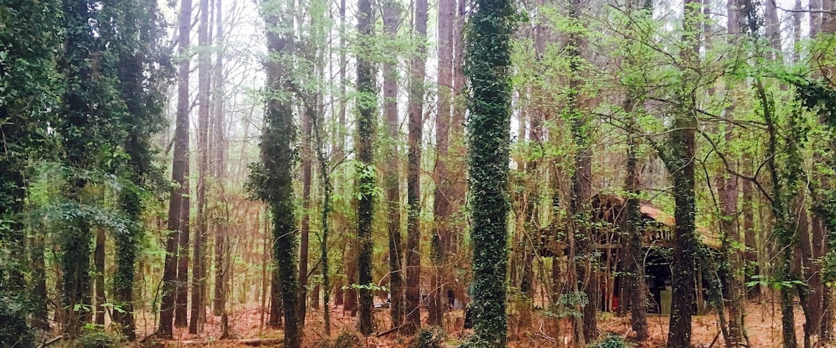 Grandmother's House ❤️