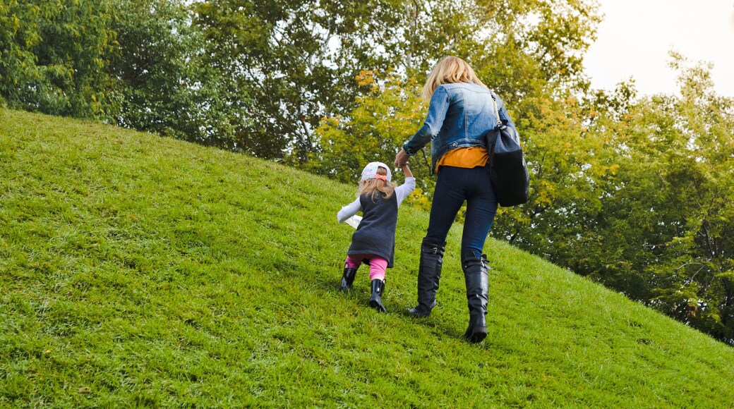 Mother and Daughter Climbing a hill at Ah-Nab-Awen Park, Grand Rapids, Michigan