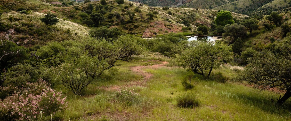 The Tumacacori Highlands turn green with grass nourished by abundant monsoon rain. Near Rio Rico, Ariziona.