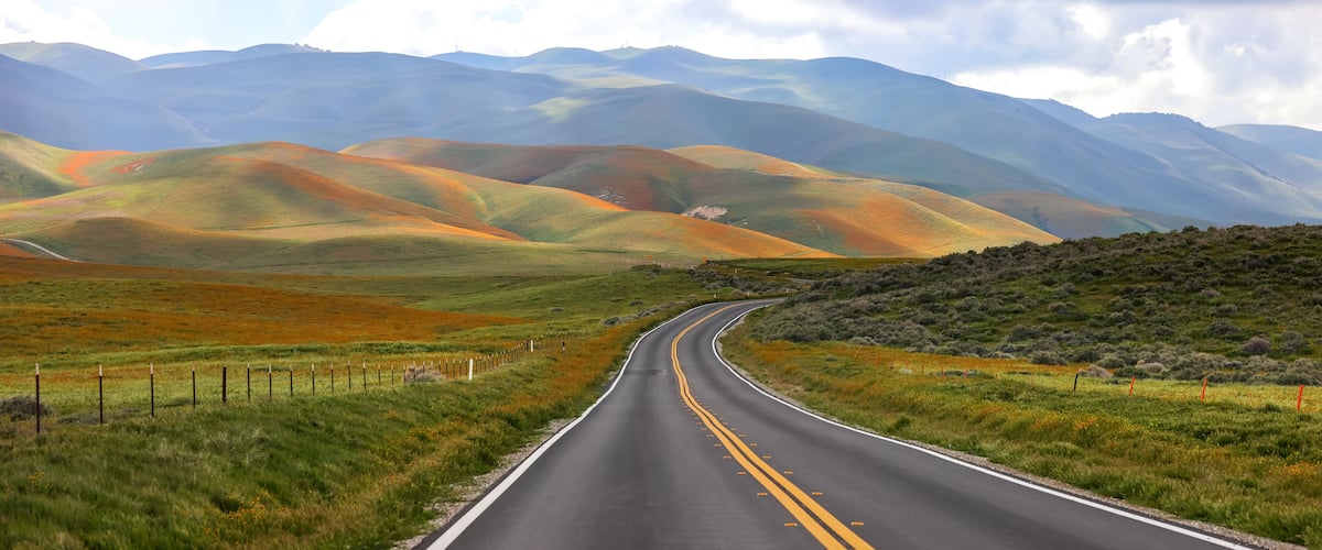 Scenic byway through Carrizo plain national monument in California , Hills are painted with colorful wildflowers.