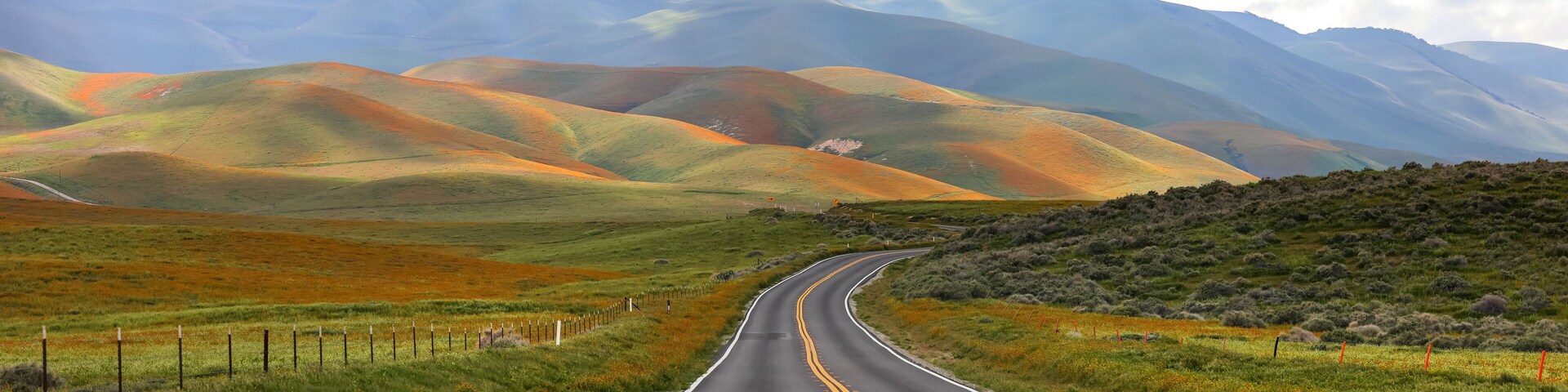 Scenic byway through Carrizo plain national monument in California , Hills are painted with colorful wildflowers.