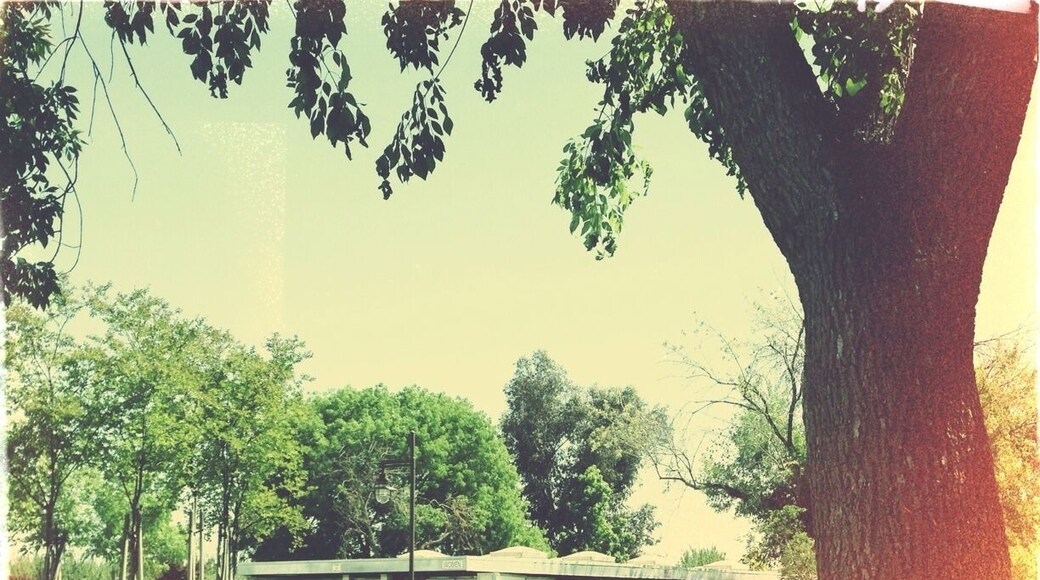 Buttonwillow rest stop